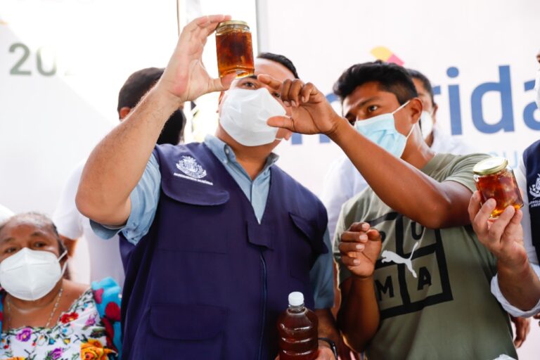 Ayuntamiento impulsa proyectos ecoturísticos en comisaría de Mérida